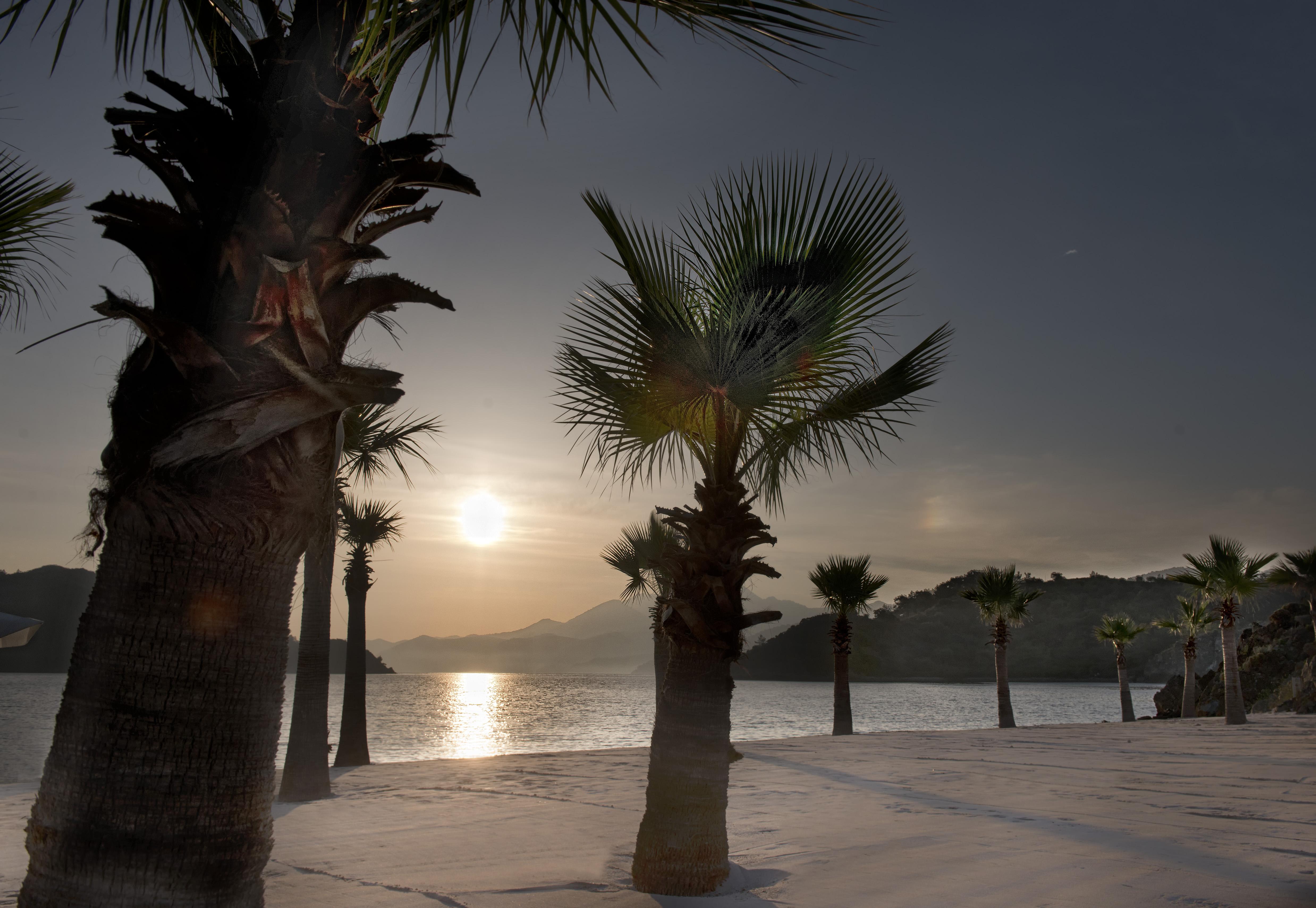 Курортний комплекс D Maris Bay 5*